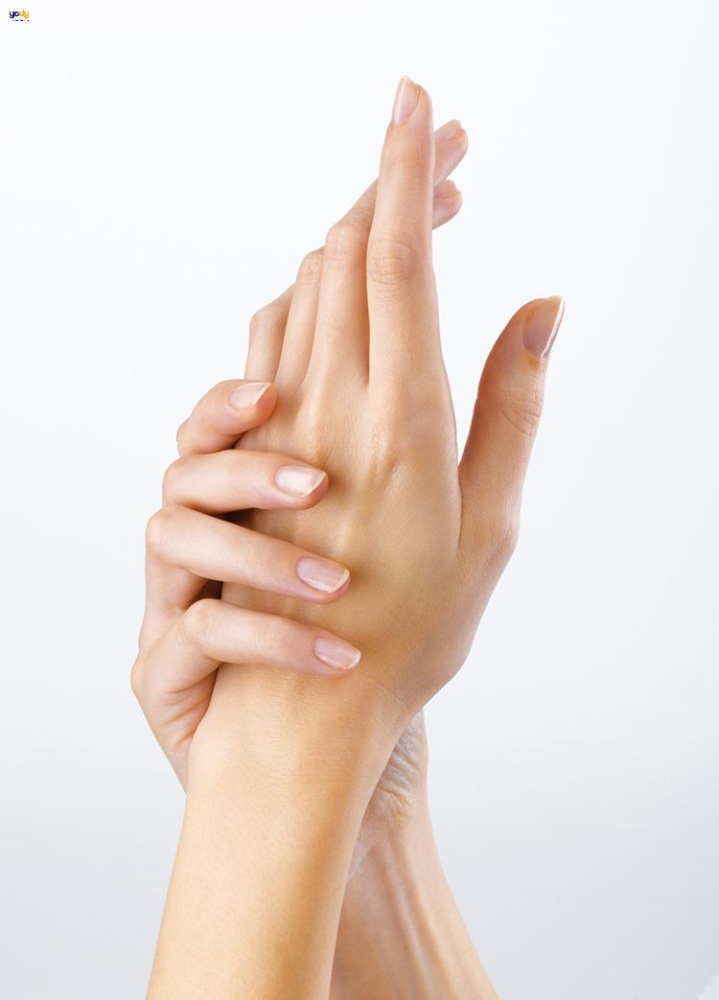 Kem Tay Le Labo Hand Lotion Creme Mains