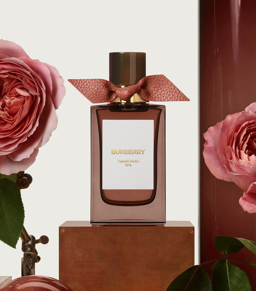 Burberry Tudor Rose 10% EDP - mùi hương quyền lực và quyến rũ từ hoa hồng Tudor hoàng gia Anh