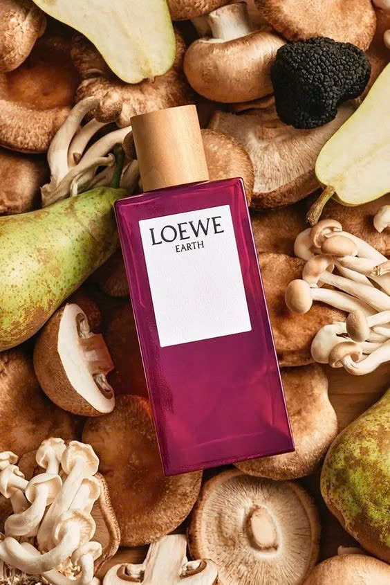 Loewe Earth EDP là một sự pha trộn giữa vẻ đẹp tối giản và sang trọng, với chai thủy tinh trong suốt và những đường nét tinh tế