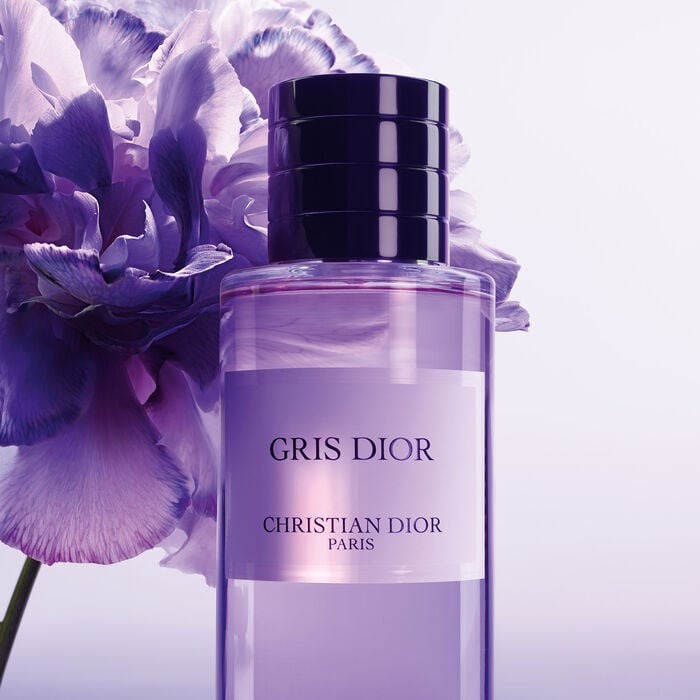 Thumb Christian Dior Gris Dior 