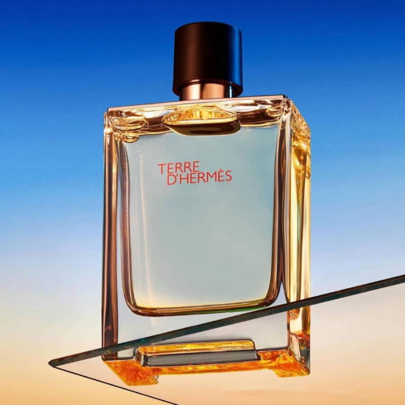 Thumb Hermes Terre D'Hermes EDT