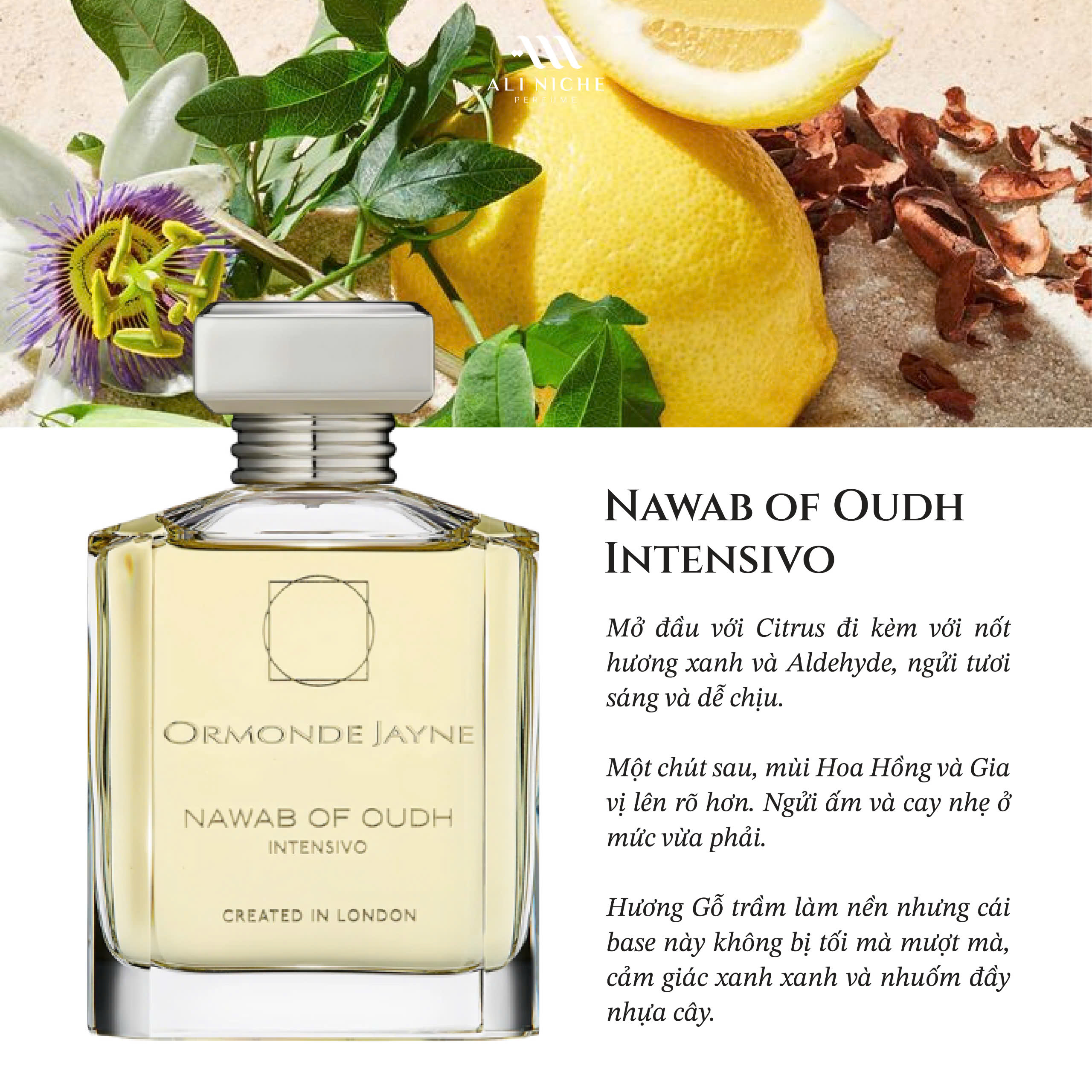Thumb Ormonde Jayne London Nawab Of Oudh 