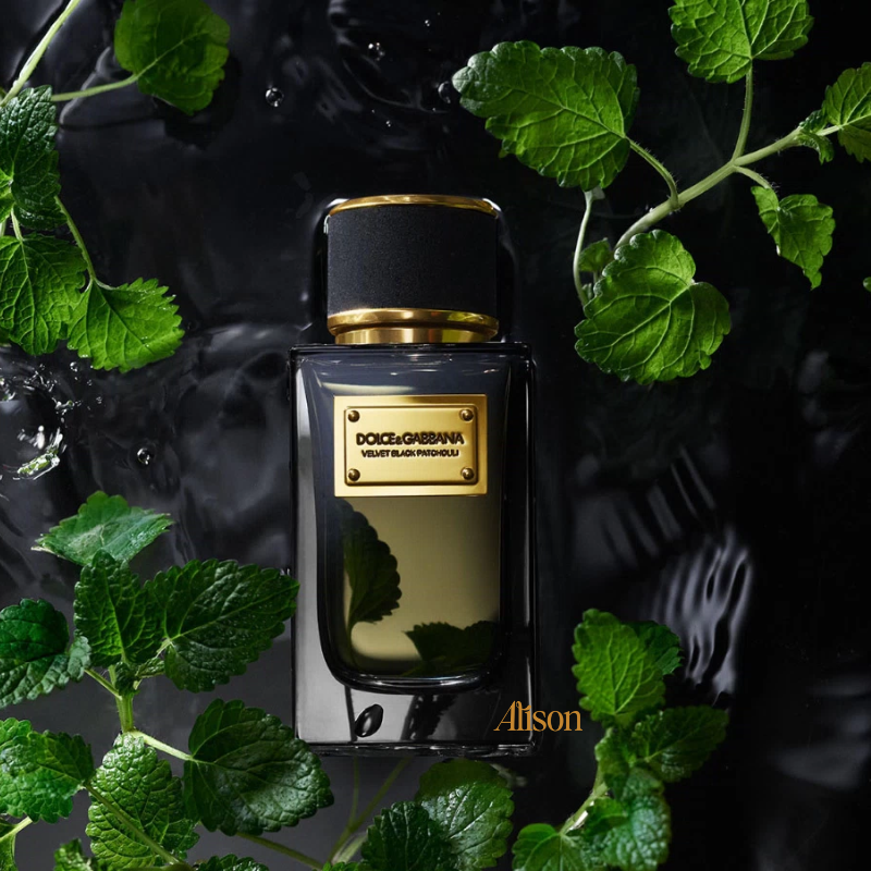 D&G Velvet Black Patchouli EDP