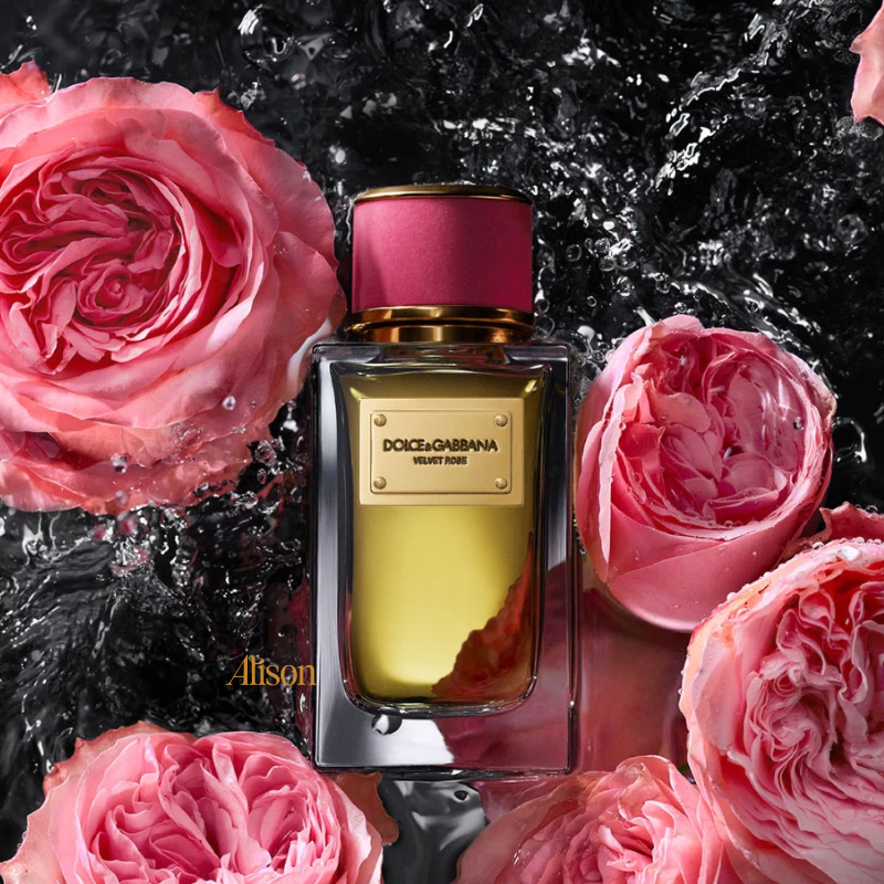 D&G Velvet Rose EDP